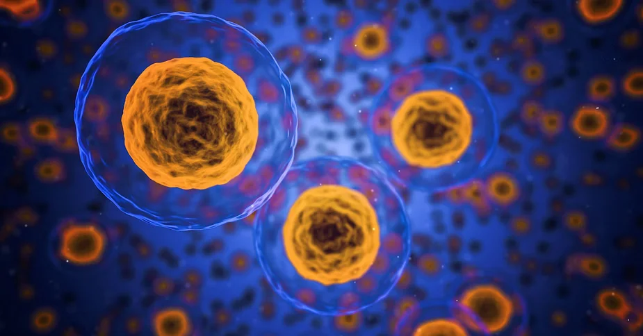 Microscopic image representing cellular health | Restoration Health 365 in Jericho NY
